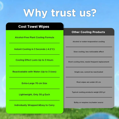 Cooling Body Wipes